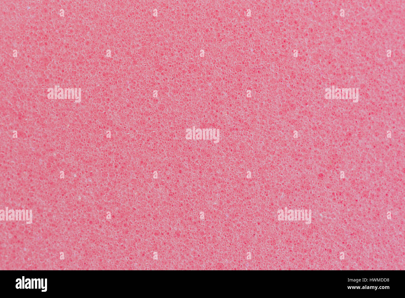 Spugna rosa sfondo Texture Foto Stock