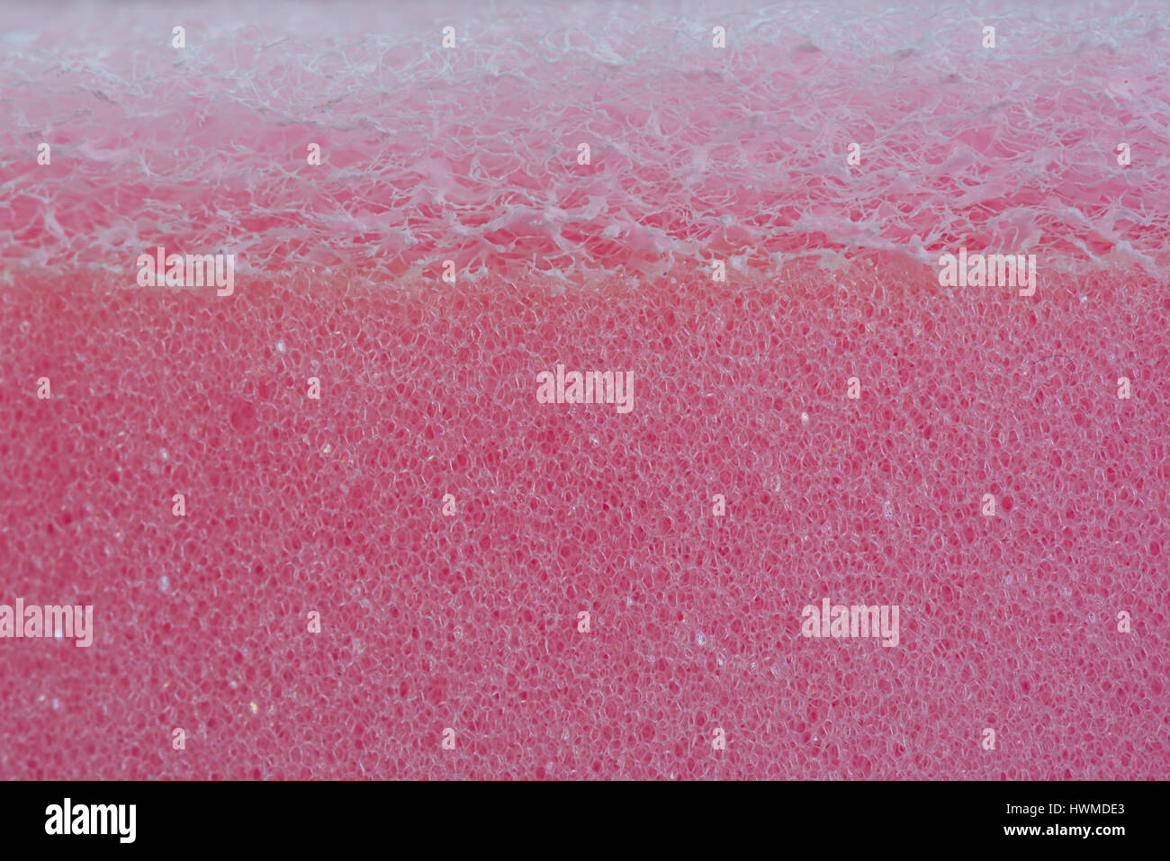Spugna rosa sfondo Texture Foto Stock