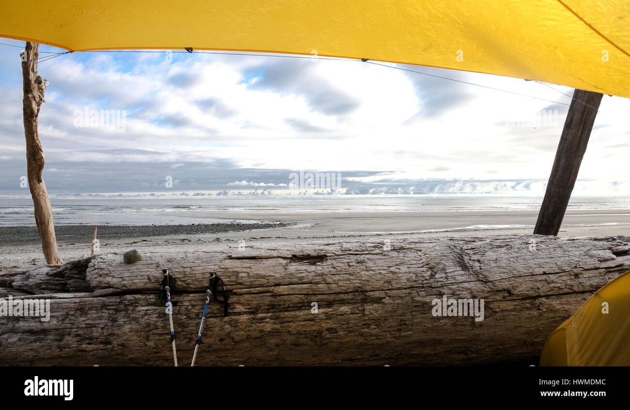 Tenda sul sito di Nootka isola il sentiero costiero, Isola di Vancouver Foto Stock