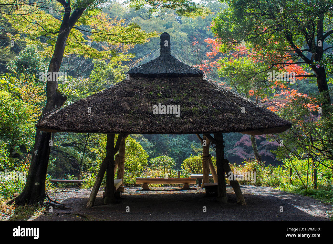 Uno Dei Santuari Mariani Più Famosi Giardini interni di Meiji Jingu, uno dei più famosi e importanti