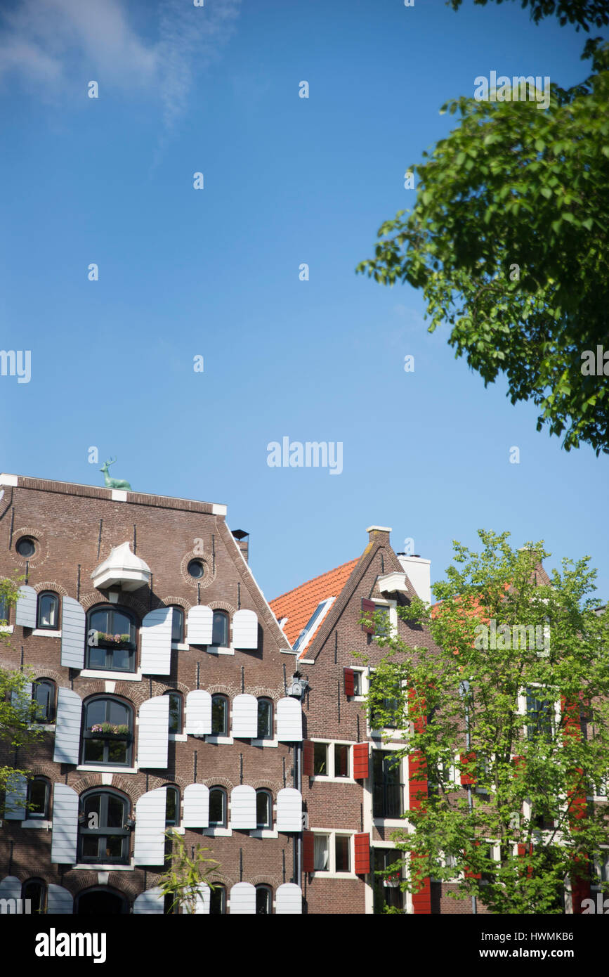 Case tradizionali nel quartiere Jordaan, Amsterdam Foto Stock