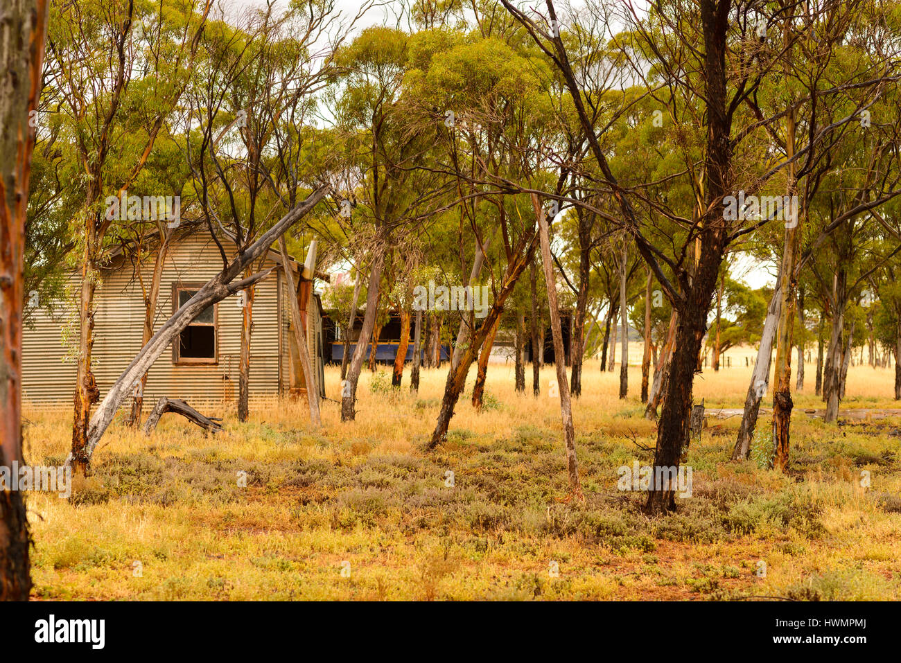 Azienda abbandonata in Outback, Australia occidentale, Australia Foto Stock