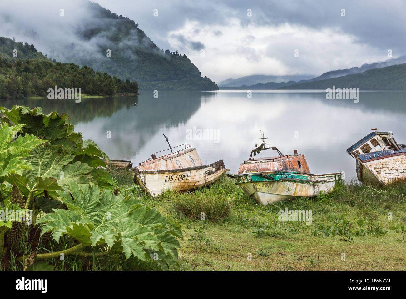 Il Cile, Patagonia, Aysen regione, Queulat National Park, Puyuhuapi fjord Foto Stock