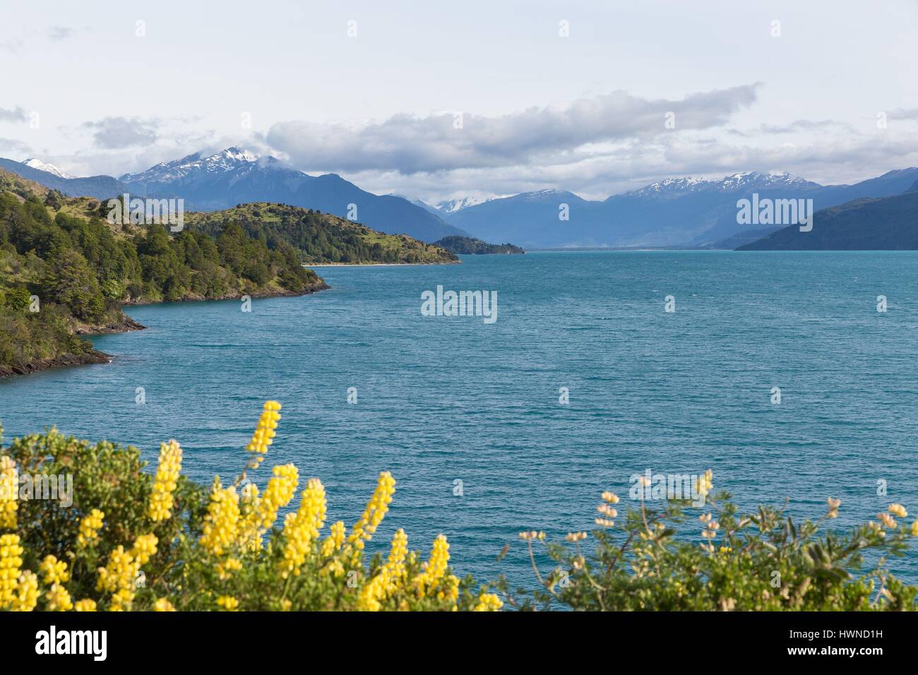 Il Cile, Patagonia, Aysen Regione, lago General Carrera vicino a Puerto Tranquilo Foto Stock