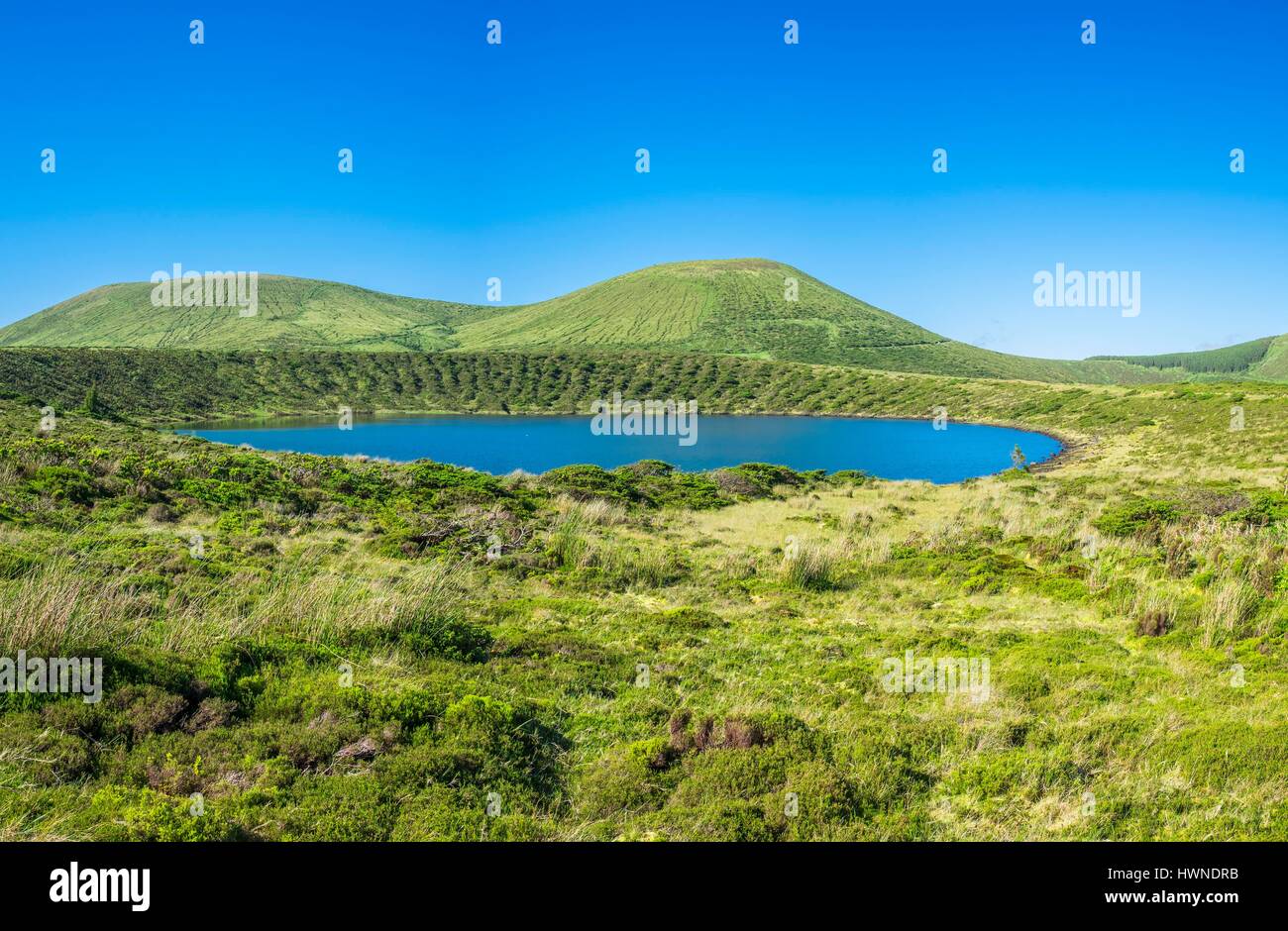 Il Portogallo, arcipelago delle Azzorre, sull isola di Flores, Caldeiras Funda e Rasa naturale riserva forestale, Lagoa Rasa Foto Stock