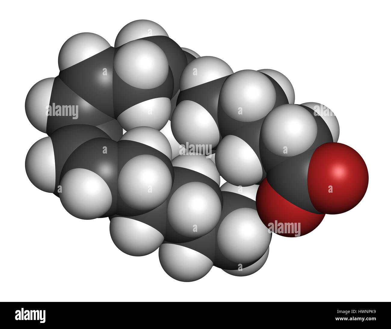 Diomo-y-linolenico (DGLA) Molecola di acido grasso. Omega 6 di acido grasso che è prodotto nel corpo da acido gamma-linolenico. Il rendering 3D. Gli atomi sono Foto Stock