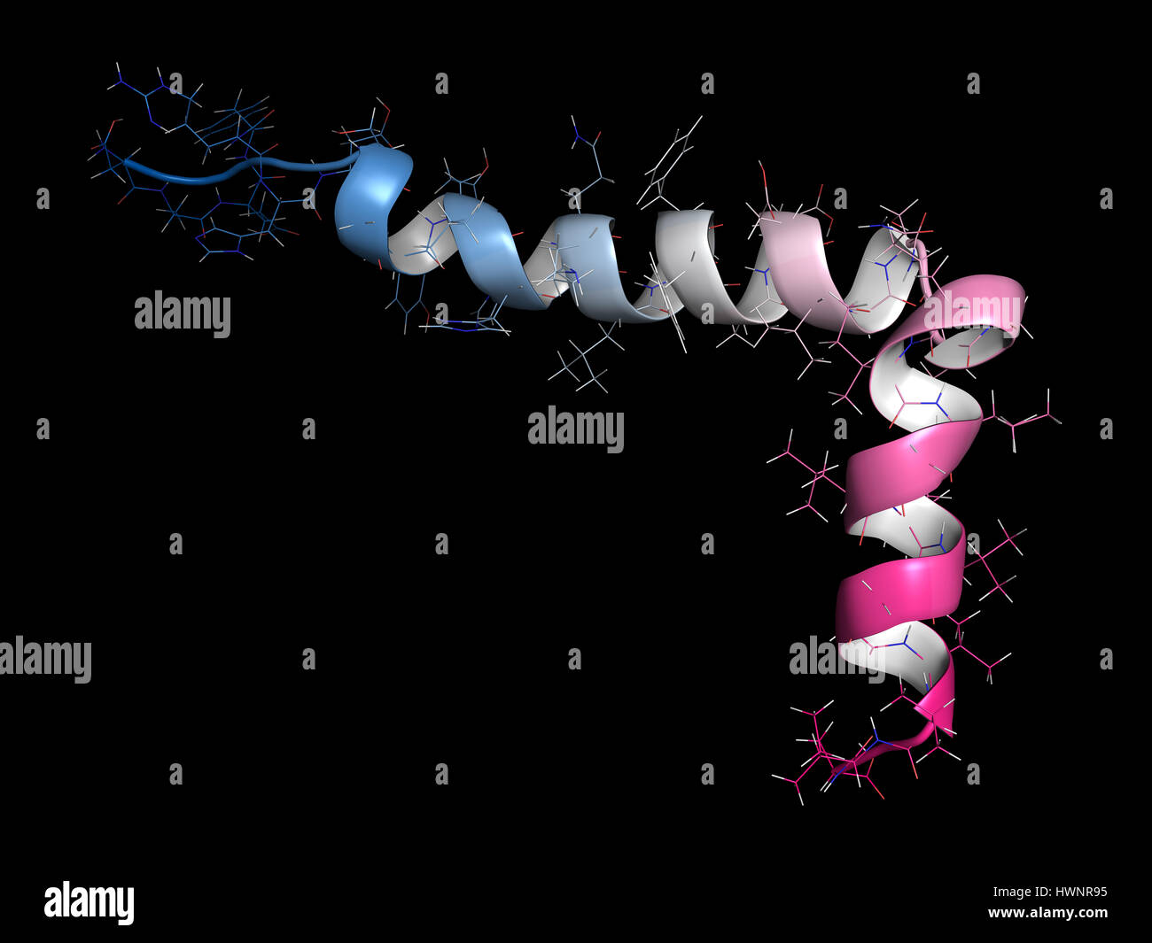 Beta-amiloide (Abeta) peptide, rendering 3D. Componente principale delle placche trovati nella malattia di Alzheimer. Cartoon combinato e stick rappresentazione, backbo Foto Stock
