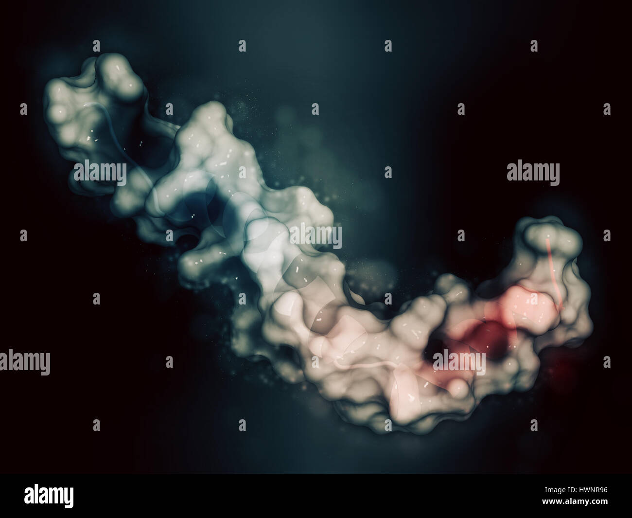 Beta-amiloide (Abeta) peptide, rendering 3D. Componente principale delle placche trovati nella malattia di Alzheimer. Cartoon rappresentazione combinata con semi-transpa Foto Stock