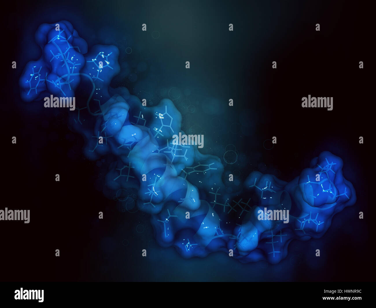 Beta-amiloide (Abeta) peptide, rendering 3D. Componente principale delle placche trovati nella malattia di Alzheimer. Stick rappresentazione combinata con semi-transpare Foto Stock