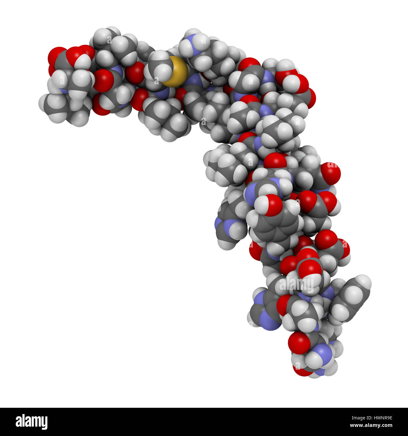 Beta-amiloide (Abeta) peptide, rendering 3D. Componente principale delle placche trovati nella malattia di Alzheimer. Gli atomi sono rappresentati come sfere con conventiona Foto Stock