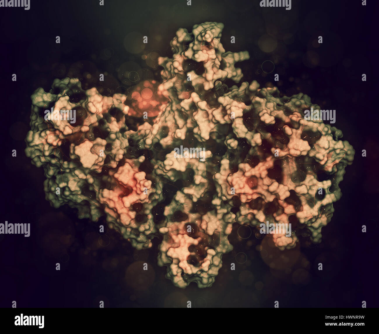 La tossina botulinica proteina neurotossici, rendering 3D. Prodotte da Clostridium botulinum. Cosmeticamente usato per il trattamento di rughe. Rappresentazione Cartoon combi Foto Stock