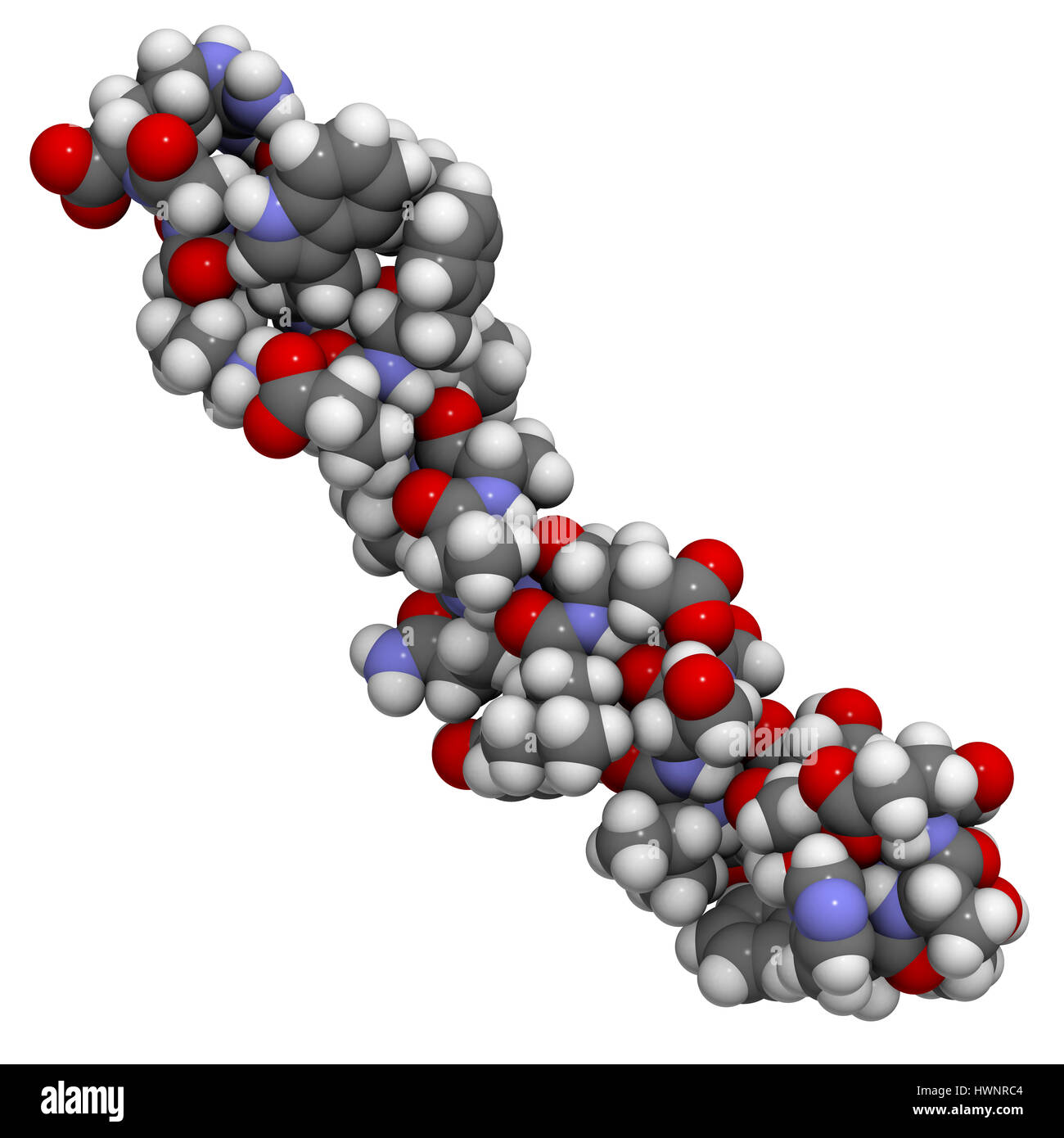 Simile a glucagone il peptide 1 (GLP1, 7-36) molecola, rendering 3D. Gli atomi sono rappresentati come sfere con i tradizionali colori: idrogeno (bianco), carbonio Foto Stock