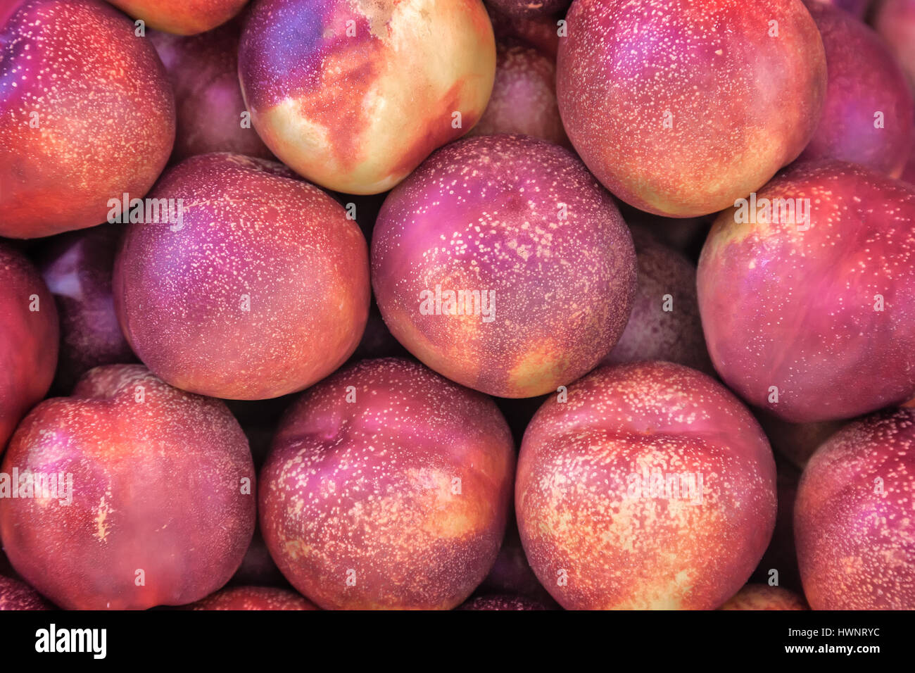 Primo piano presenta frutti maturi delle nettarine. Foto Stock