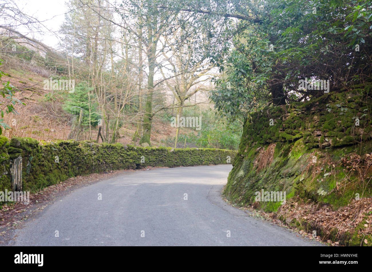 Strada tortuosa, Grasmere, Cumbria, Lake District Foto Stock