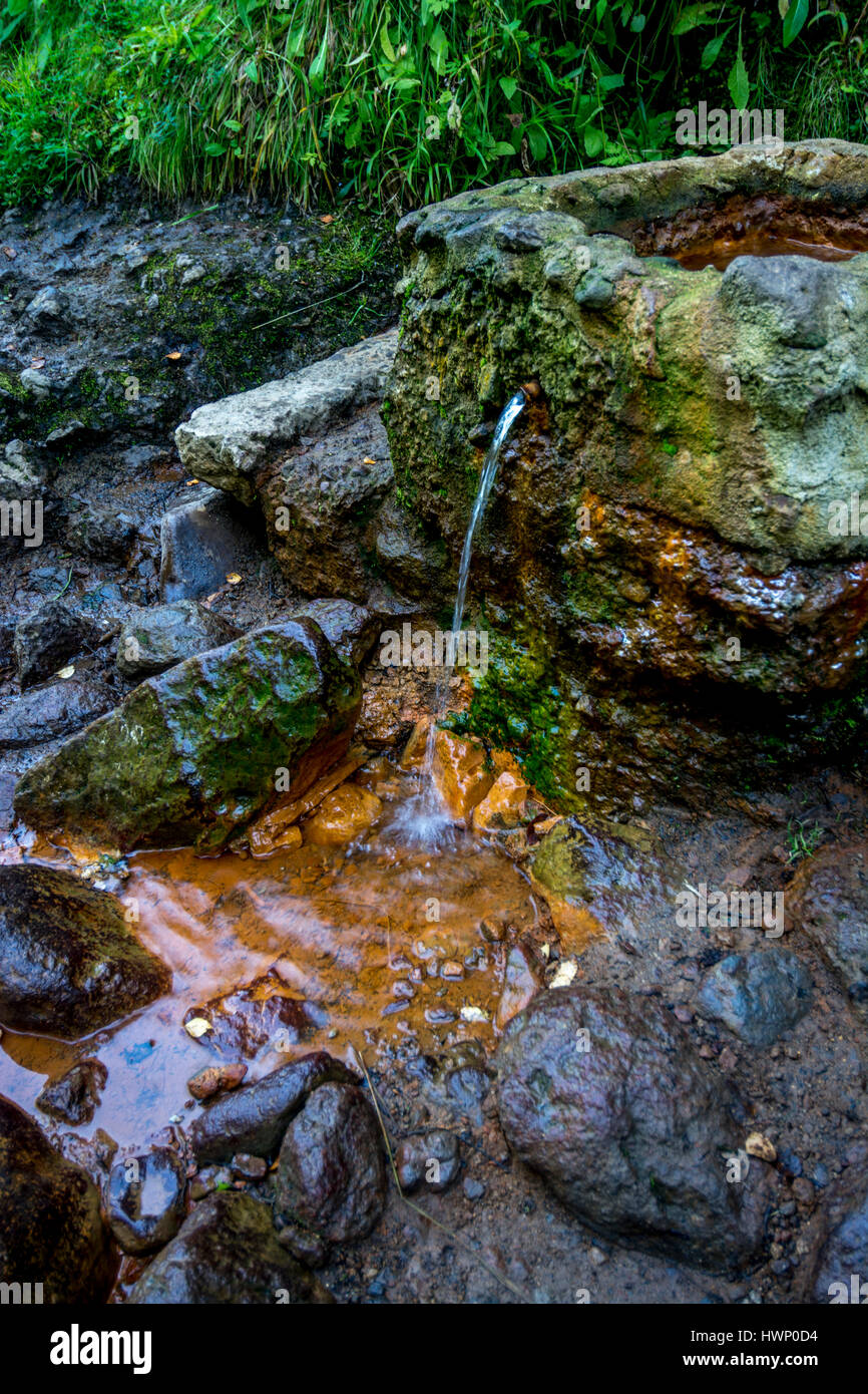 Sorgente di acqua minerale nella valle di Chaudefour. Puy de Dome. Francia Foto Stock