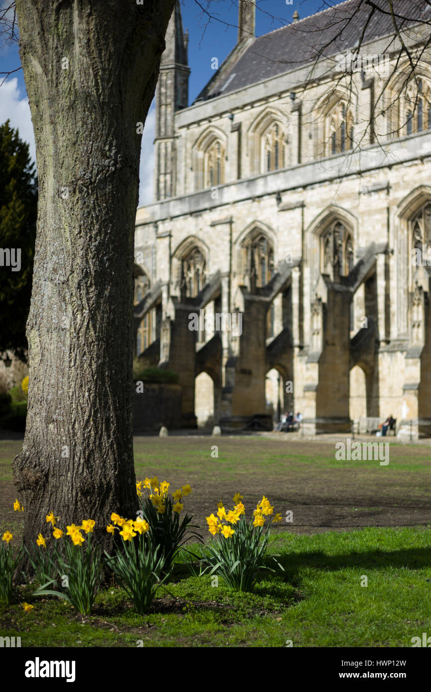 La Cattedrale di Winchester in primavera, Hampshire, Inghilterra, Regno Unito Foto Stock