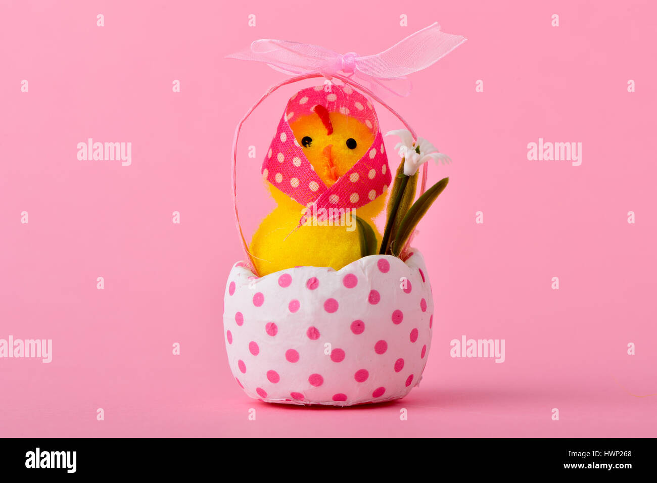 Una simpatica signora teddy chick indossando un velo di colore rosa modellato con puntini bianchi che emergono da un bianco incrinato guscio d'uovo modellati con punti rosa, contro un Foto Stock