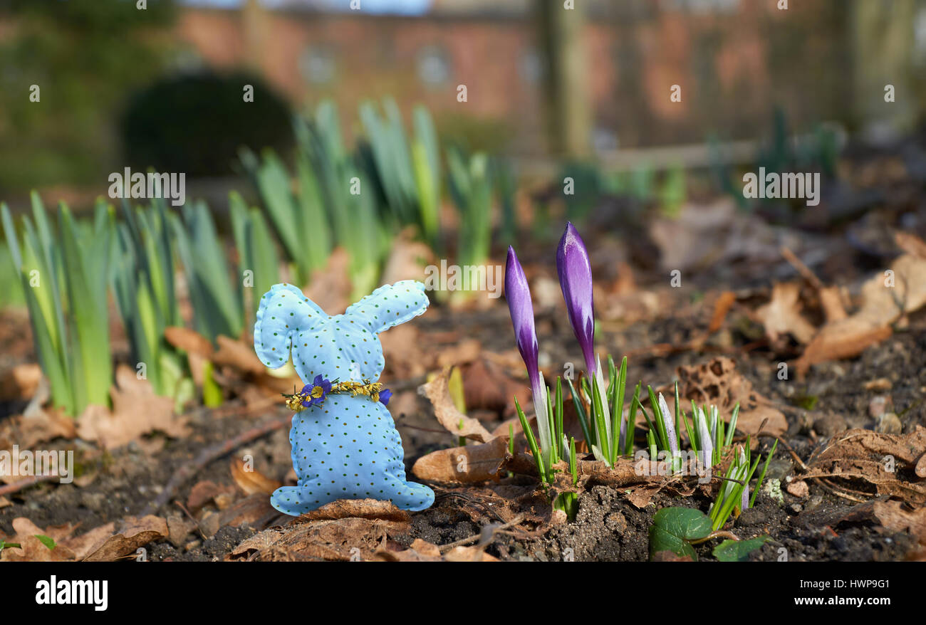 Coniglio fatti a mano tra fiori di primavera Foto Stock