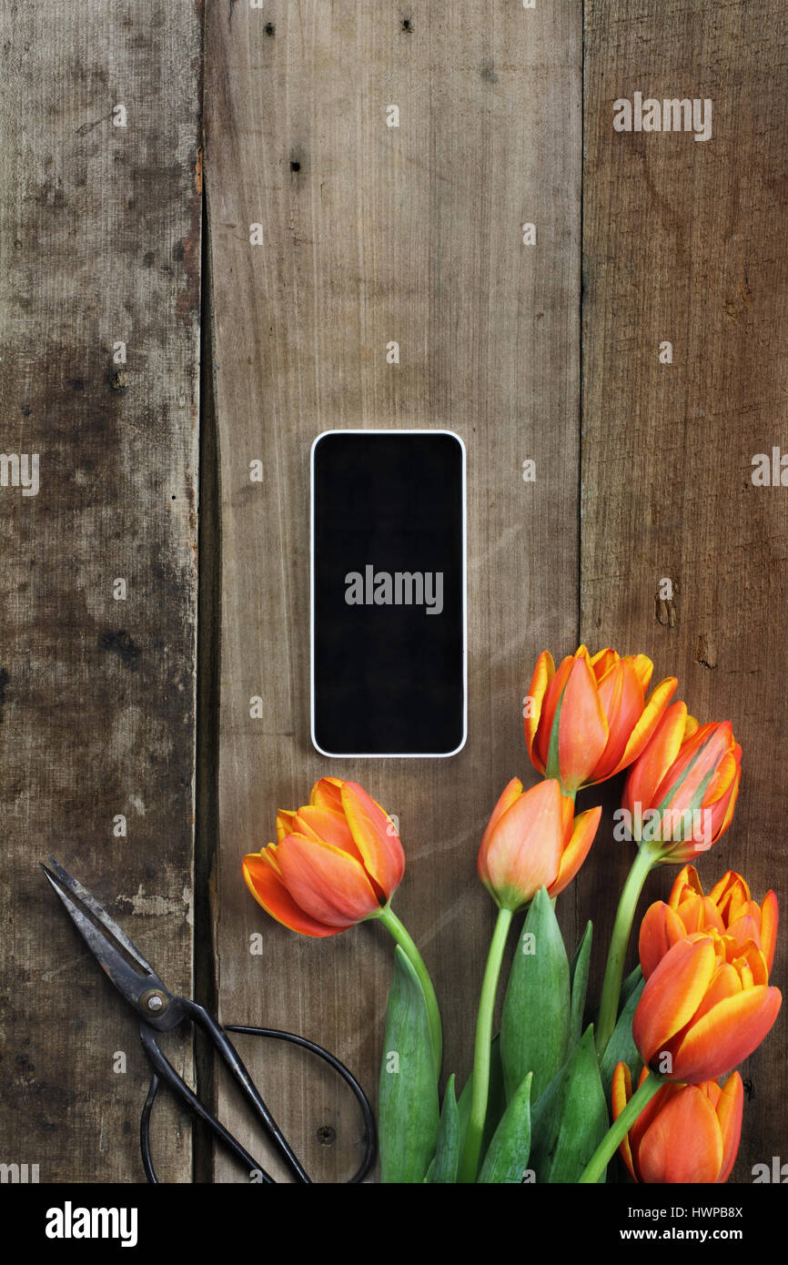 Tettuccio di colpo di un telefono cellulare con un bouquet di fiori di arancio e tulipani gialli su una tavola in legno rustico top con mobili antichi di forbici. Lay piatto vista aerea st Foto Stock