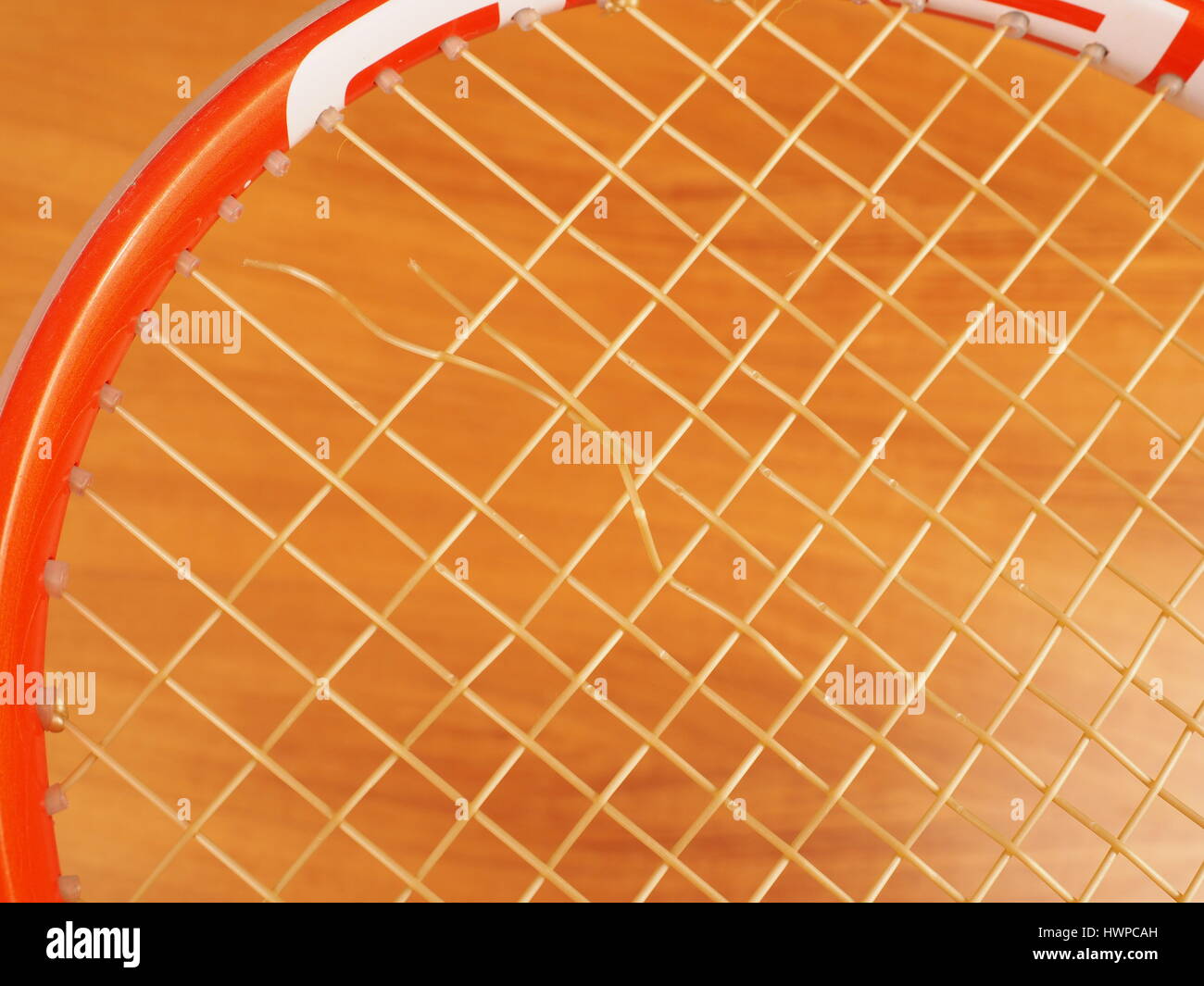 Stringa di interruzione di una rete di monofilamenti sintetici di poliesteri stringa Tennis causate dalla normale usura da topspin hits vicino al centro del telaio della racchetta. Foto Stock