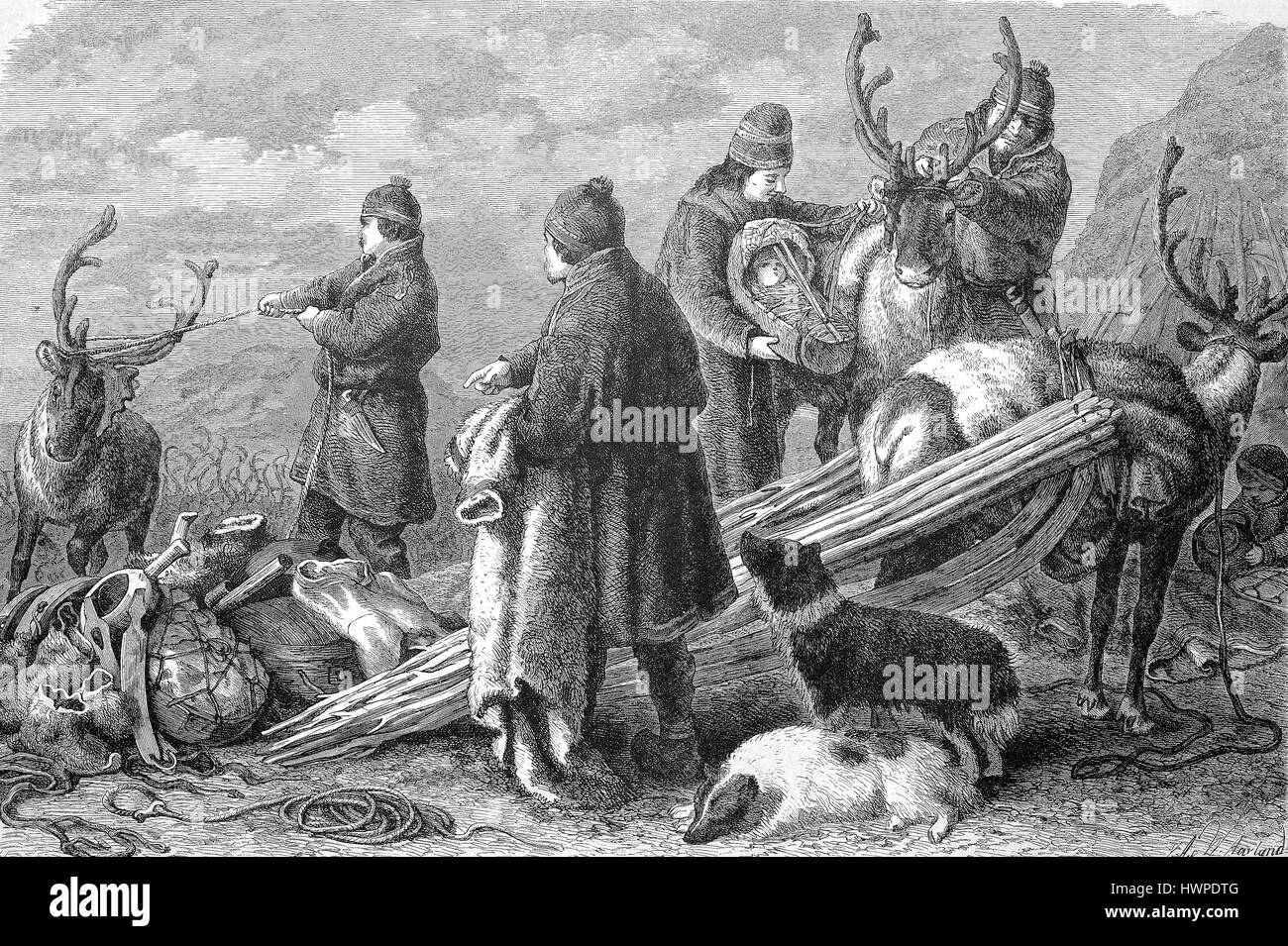Nomadi in Lapponia per caricare le renne per lasciare in estate, la riproduzione di un originale xilografia a partire dall'anno 1882, digitale migliorata Foto Stock