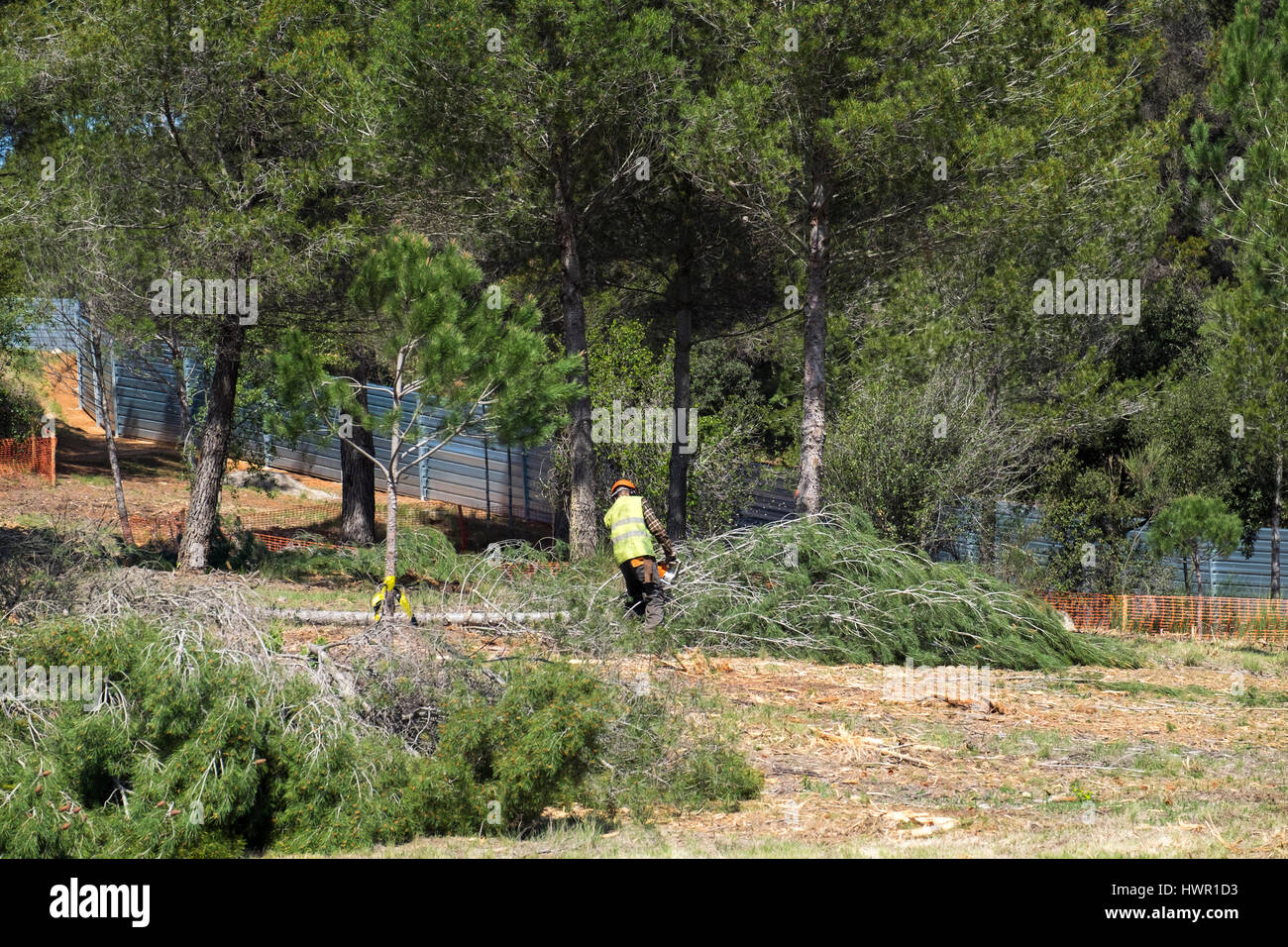 Sant Cugat del Valles, Barcelona, Spagna - 3 Aprile 2017: una foresta viene abbattuto per costruire sulle aree verdi. Foto Stock