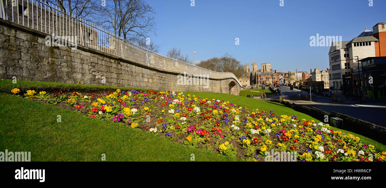 Vista panoramica di fiori di primavera dalle mura della città e York Minster Yorkshire Regno Unito Foto Stock