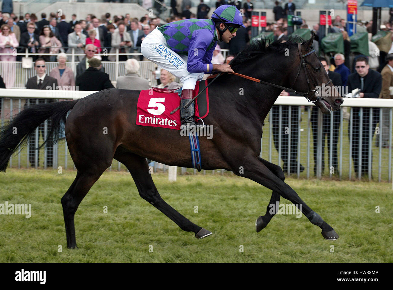 Giardini FRANKLINS cavalcato da D.HOLLAND IPPODROMO DI YORK YORK INGHILTERRA 15 Maggio 2005 Foto Stock