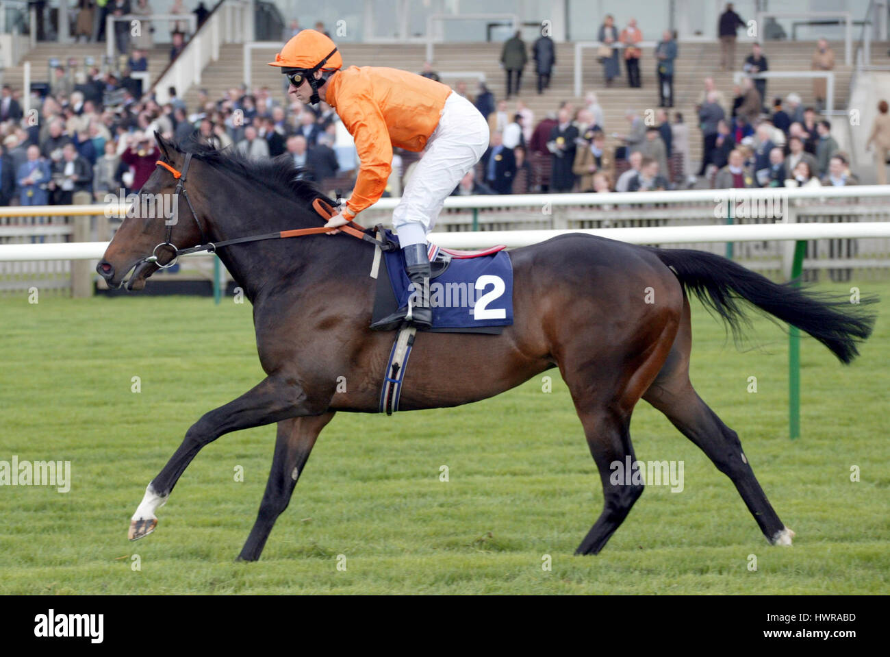 Venuta di età cavalcato da M.COLLINE IPPODROMO DI NEWMARKET NEWMARKET 13 Aprile 2004 Foto Stock