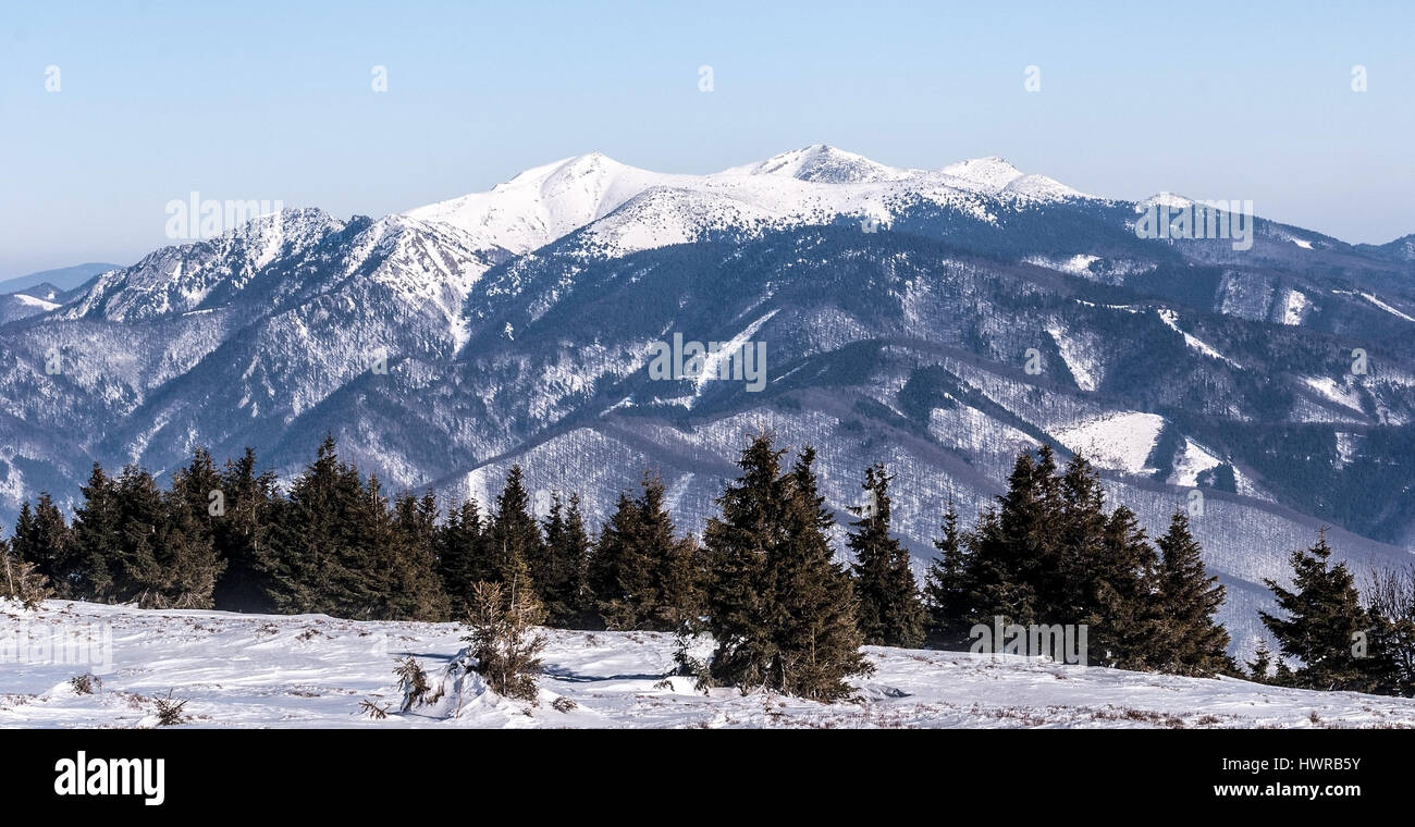 Krivanska Mala Fatra mountain range con velky rozsutec, stoh, chleb e Velky Krivan colline da zazriva hill in lucanska Mala Fatra durante il periodo invernale Foto Stock
