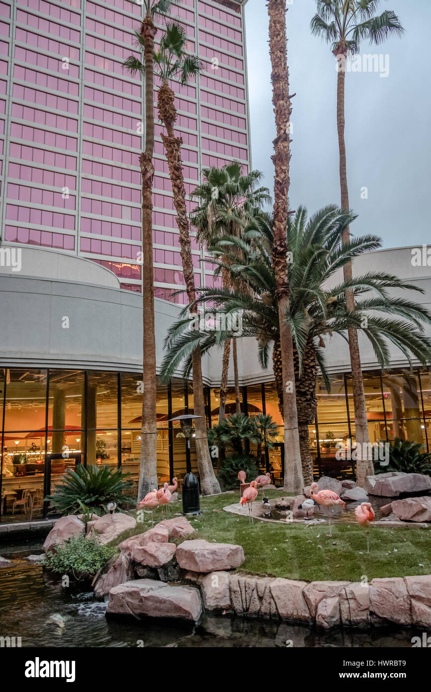 Fenicotteri rosa al giardino di Flamingo Hotel and Casino - Las Vegas, Nevada, STATI UNITI D'AMERICA Foto Stock