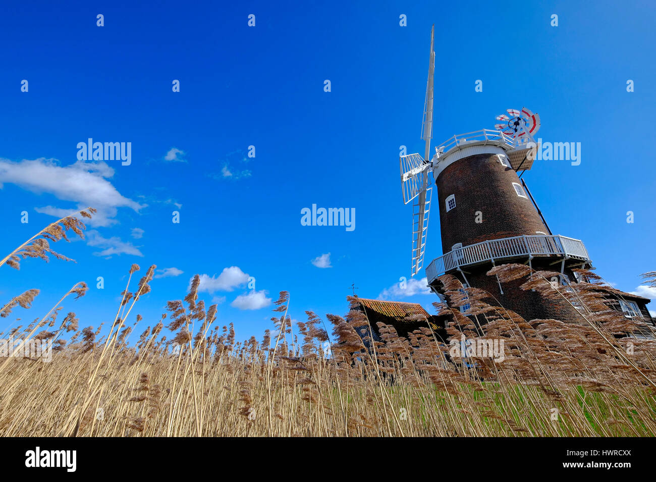 Cley mill, North Norfolk, Inghilterra Foto Stock