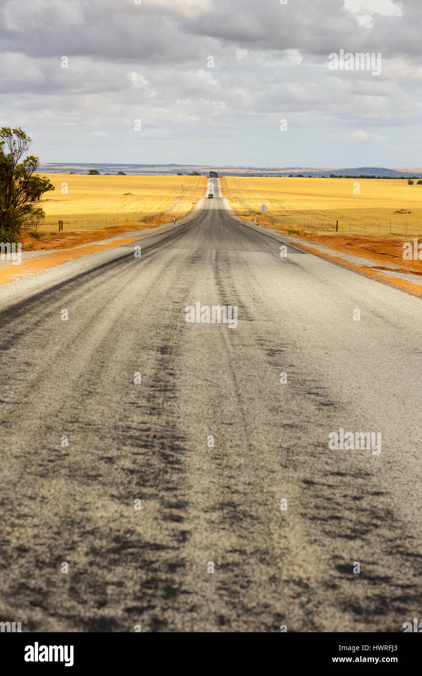 Western Australia - strada attraverso campi in Outback, Australia Foto Stock