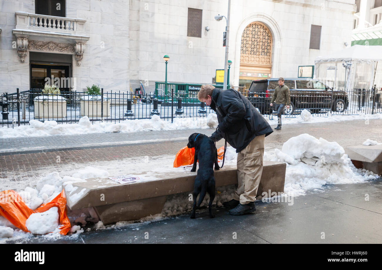 Un responsabile della sicurezza con il suo K-9 partner sniffs al cestino sospetti a sinistra di fronte al New York Stock Exchange su Giovedi, 16 marzo 2017. (© Richard B. Levine) Foto Stock