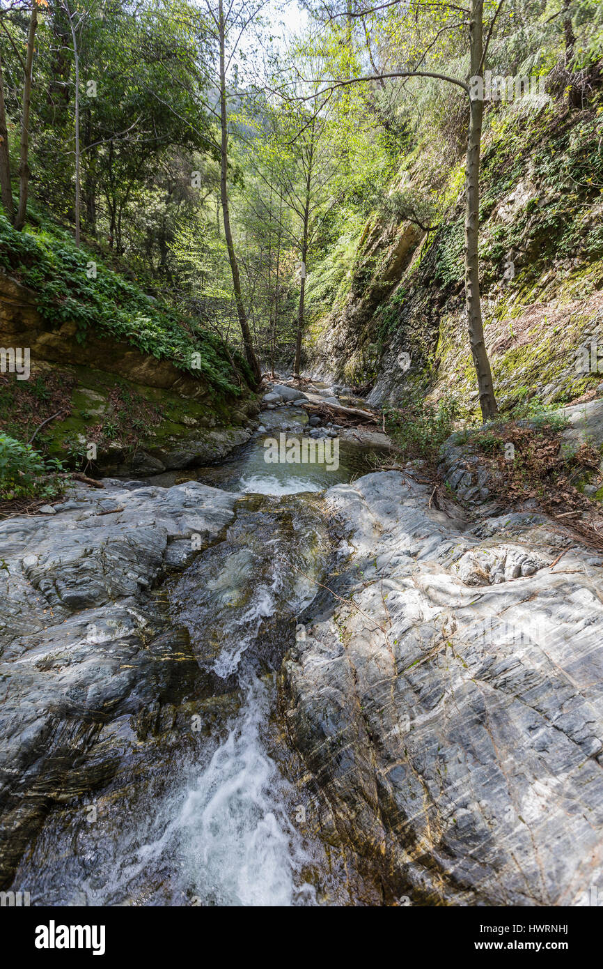Eaton Canyon Creek vicino Idlehour Camp nelle montagne di San Gabriel della Angeles National Forest in California del Sud. Foto Stock