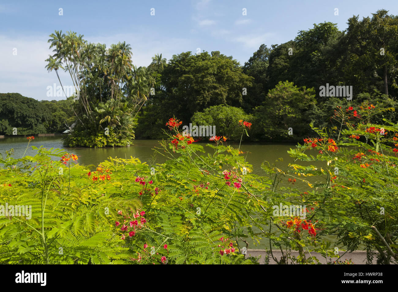 Singapore Botanic Gardens Foto Stock