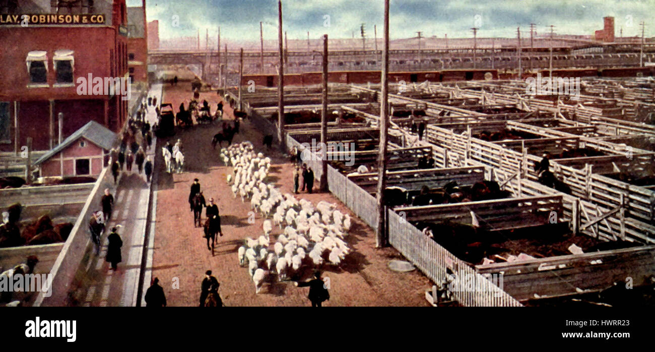 Exchange Avenue, Stock Yards, Chicago, circa 1907 Foto Stock