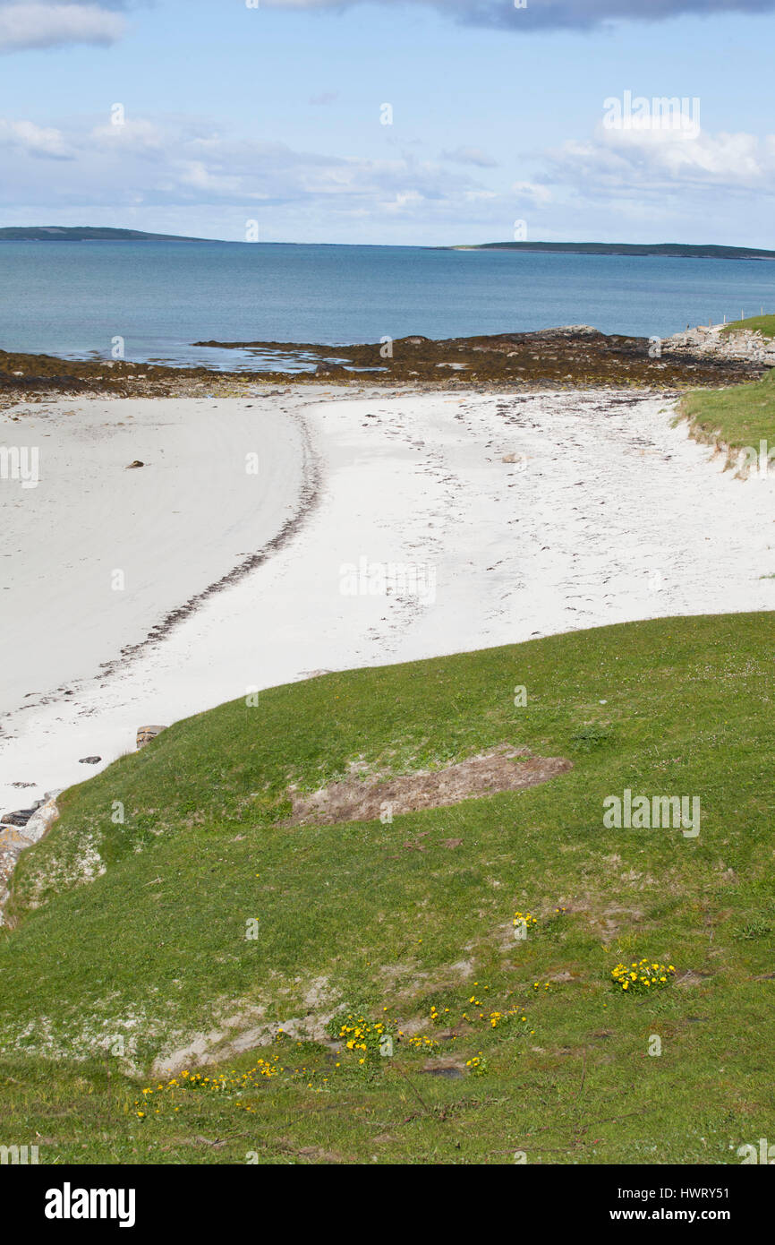 Conchiglia piccola spiaggia ricco sull'estremità meridionale del Borve Berneray, con vicino turfed machir a destra Foto Stock