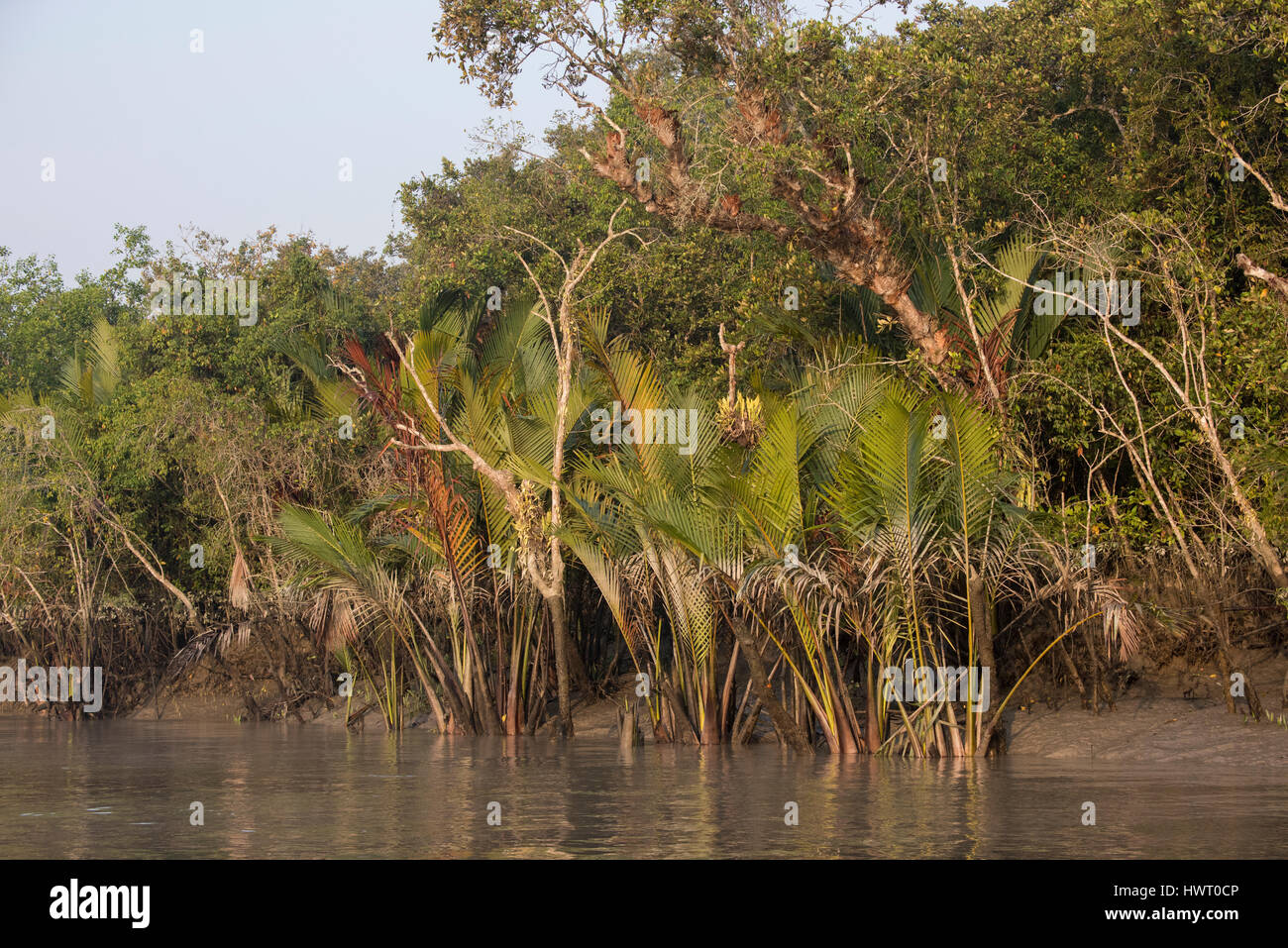Bangladesh, la Sundarbans, Sundarban) Parco Nazionale. Vie navigabili