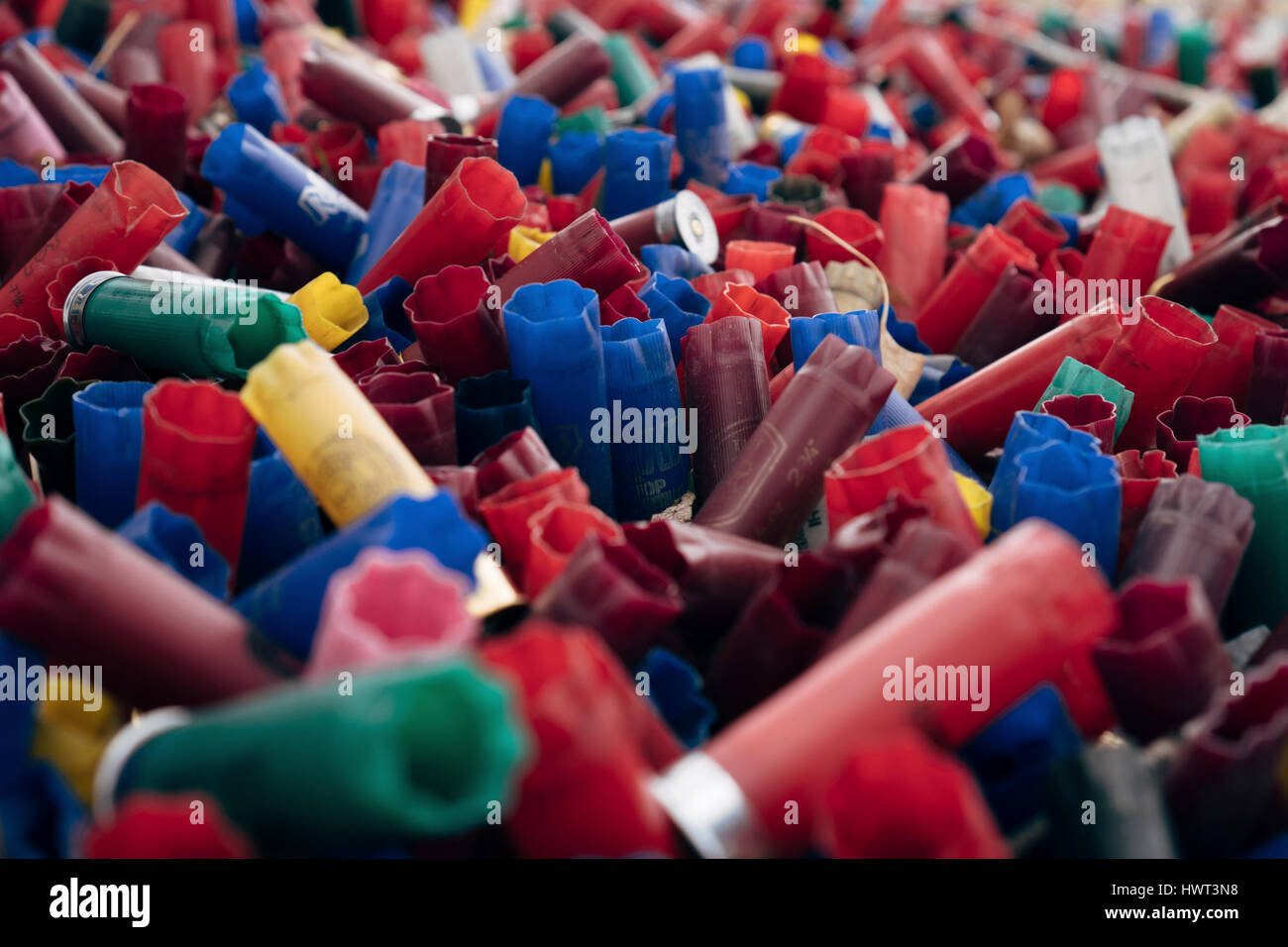 Close-up di fucile colorate conchiglie Foto Stock