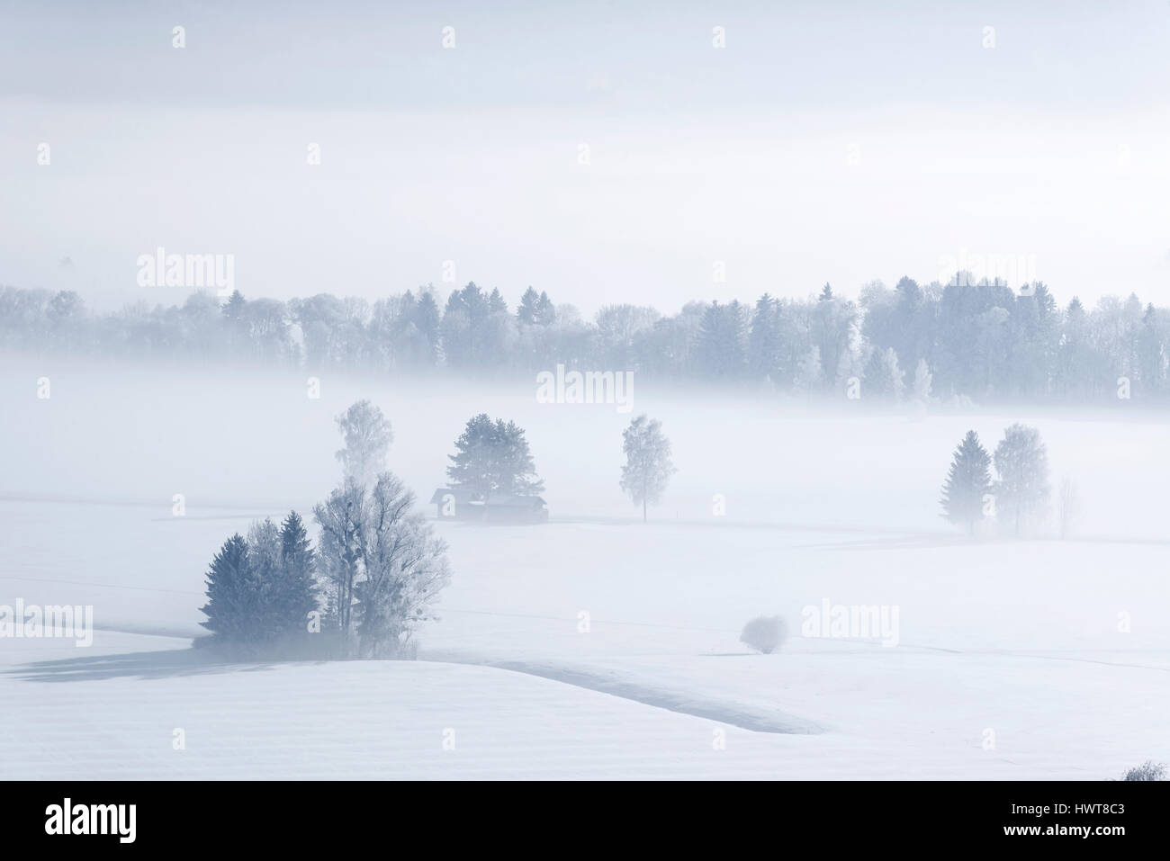 Nebbia di mattina in inverno su Loisach Moor, Loisach vicino Großweil, Alta Baviera, Baviera, Germania Foto Stock