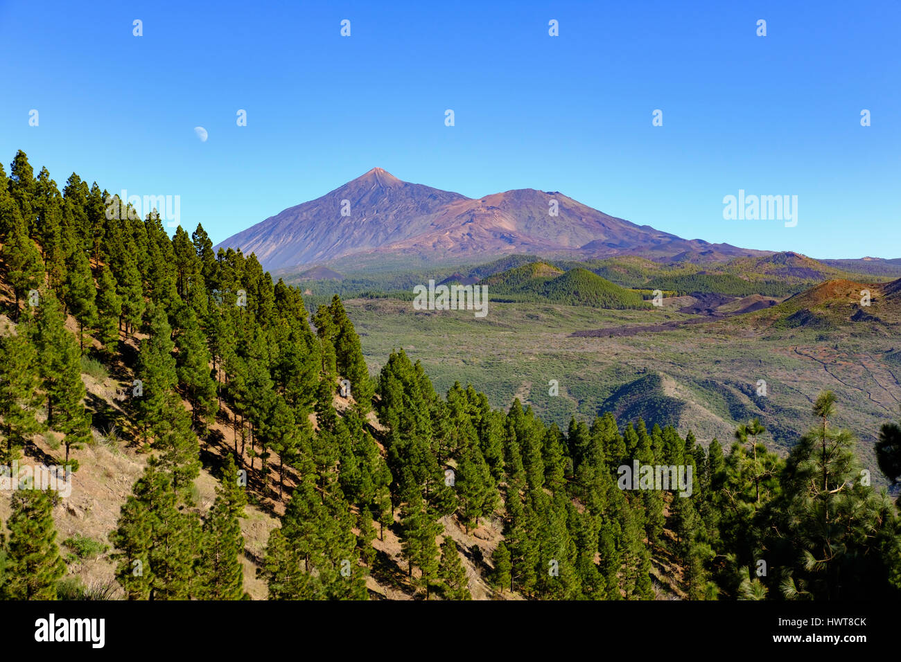 Vulcano Pico del Teide e Pico Viejo, vista dal Teno montagne, Tenerife, Isole Canarie, Spagna Foto Stock