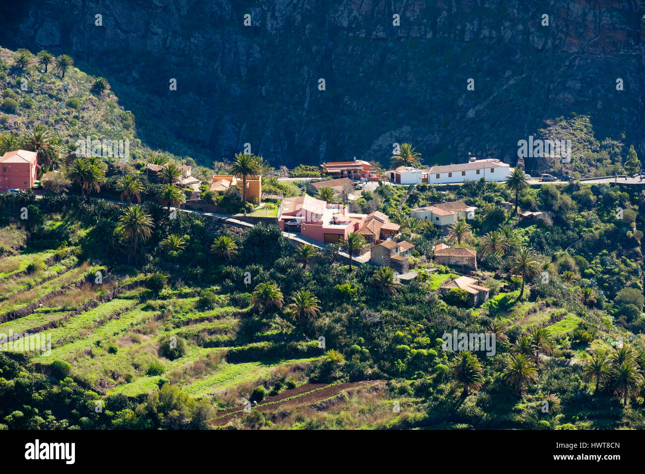 Masca, Barranco de Masca, Teno montagne, Teno Parco Rurale, Tenerife, Isole Canarie, Spagna Foto Stock