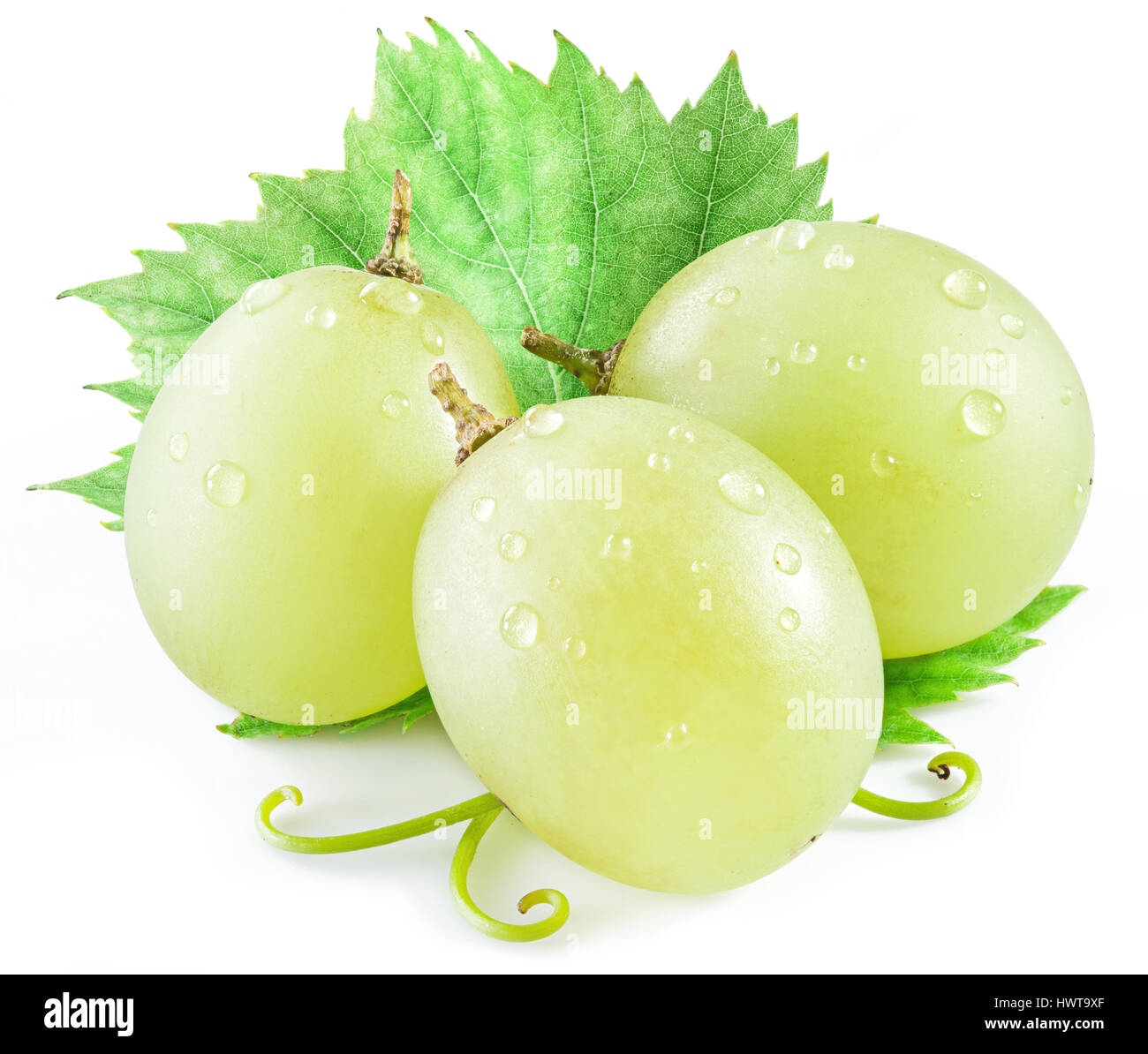 Tre uve con lamina sullo sfondo bianco. Foto Stock