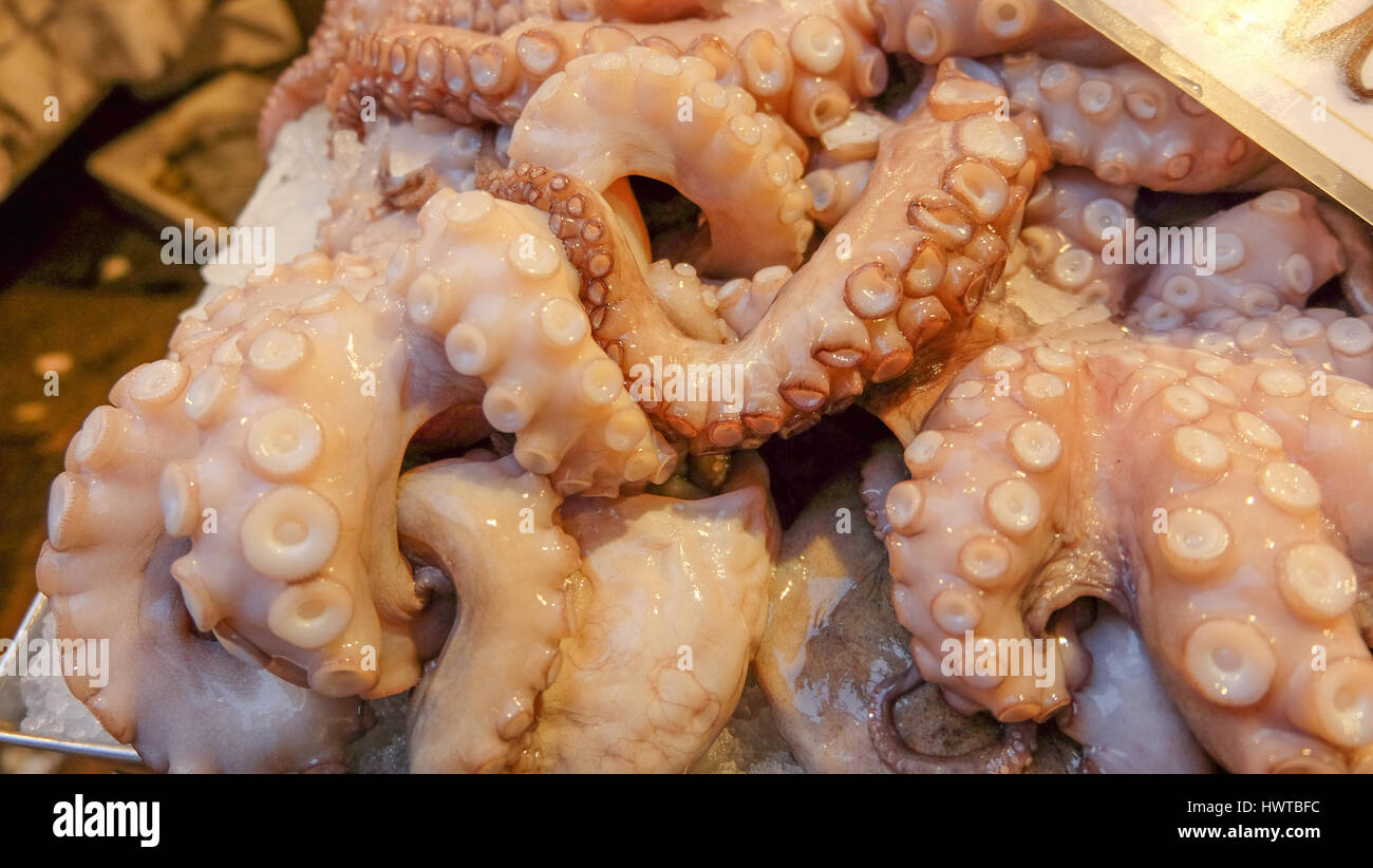 Polpi in vendita nel mercato del pesce, Venezia, Italia Foto Stock