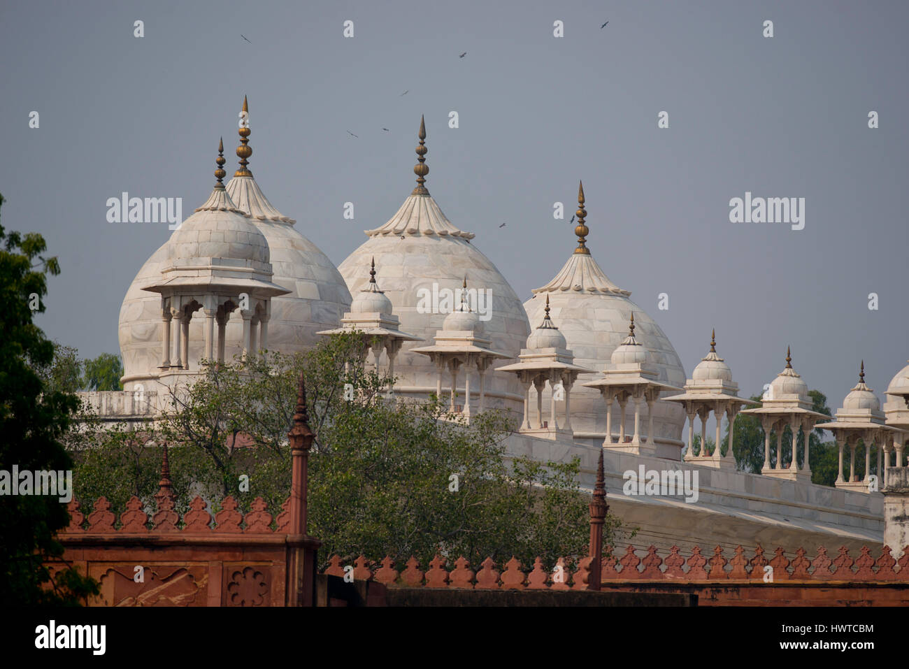Archi a fort di Agra, magnifico palazzo fortificato in India. Questo maharajah residence è un sito patrimonio mondiale dell'Unesco Foto Stock