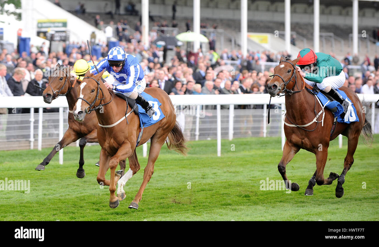 MISS OPERA D'ARTE cavalcato da Paolo HANAGAN cavalcato da Paolo HANAGAN IPPODROMO DI YORK YORK INGHILTERRA 13 Maggio 2011 Foto Stock