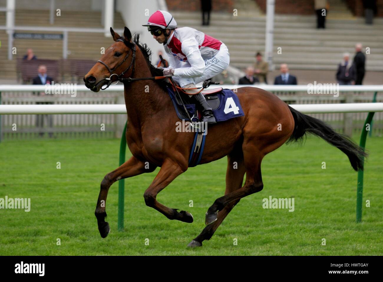 ELIZABETH GARRETT cavalcato da A.MUNRO ROWLEY MILE NEWMARKET Corso Inghilterra 19 aprile 2006 Foto Stock