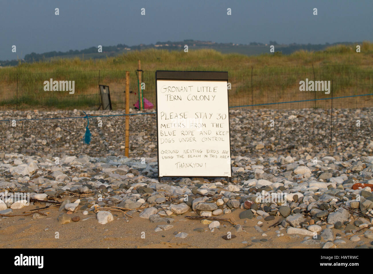 Segnali di avvertimento di bagnanti sulla spiaggia circa la nidificazione poco Sterne ( Sterna albifrons ) e loro vulnerabilità Foto Stock