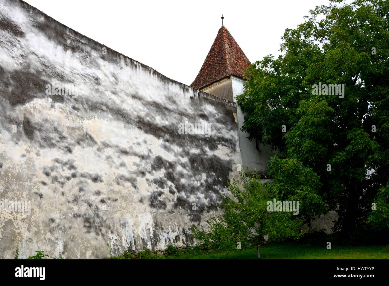 Fortificata medievale chiesa sassone nel villaggio di Harman, Transilvania, Romania. Foto Stock